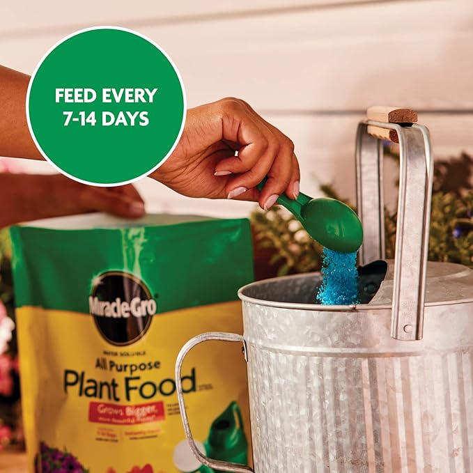 Miracle-Gro Water Soluble All Purpose Plant Food, 24-8-16, Instantly Fertilizes Plants, Waterproof Bag - 5 lb.