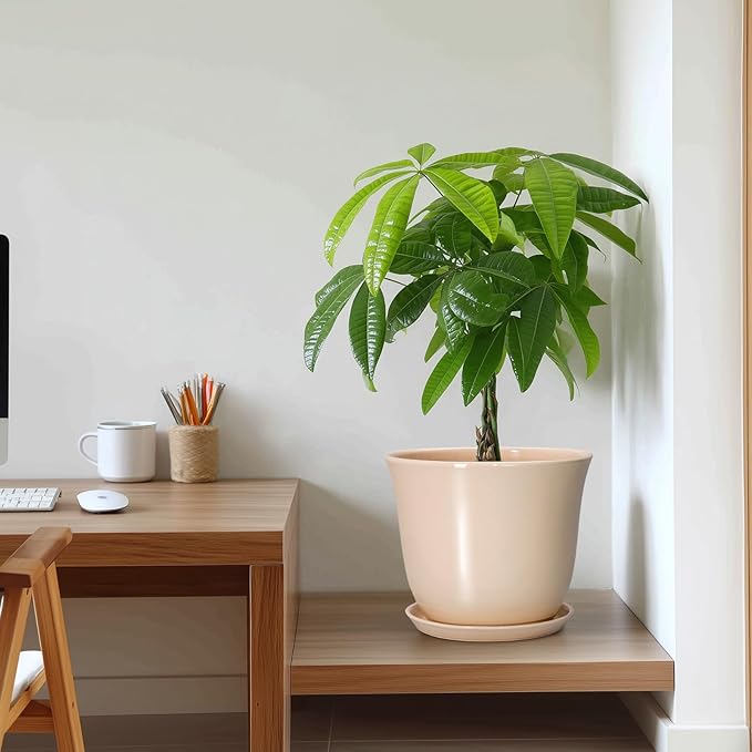 Ceramic Planter - 10 Inch Plant Pot for Indoor Outdoor, Round Flower Pots with Drainage Hole and Saucer, Large Plant Pot, Modern Planters, Home Office Room Decor, Gardening Gifts, Beige