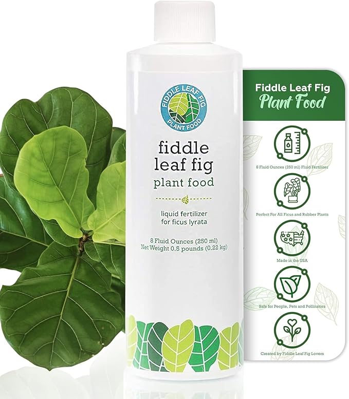 Fiddle Leaf Fig Plant Food – 3‑1‑2 Balanced NPK Liquid Fertilizer for Larger Leaves, Stronger Roots & Steady, Vibrant Growth | Suitable for All Ficus Including Ficus Lyrata | Made in USA | 8 oz