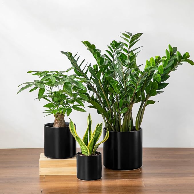 vancasso 6"+8"+10" Ceramic Pot for Plants, Large Outdoor Indoor Planter Pots with Drainage Holes, Set of 3, Black