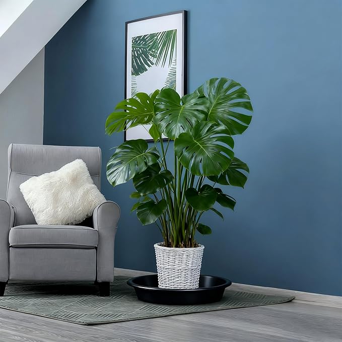 3 Pack Plant Saucer Heavy Duty Sturdy Drip Trays for Indoor and Outdoor (12 Inch, Black)