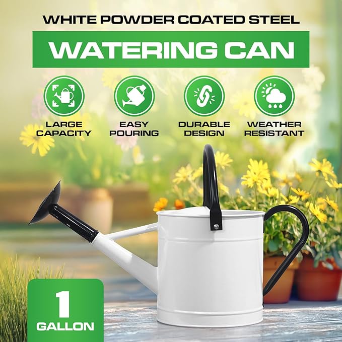 Plexon 1 Gallon Metal Watering Can Outdoor, Flower Plant Gardening Garden Large Watering Can Pot, Black Galvanized Steel Handles and Removable Spray Spout, White