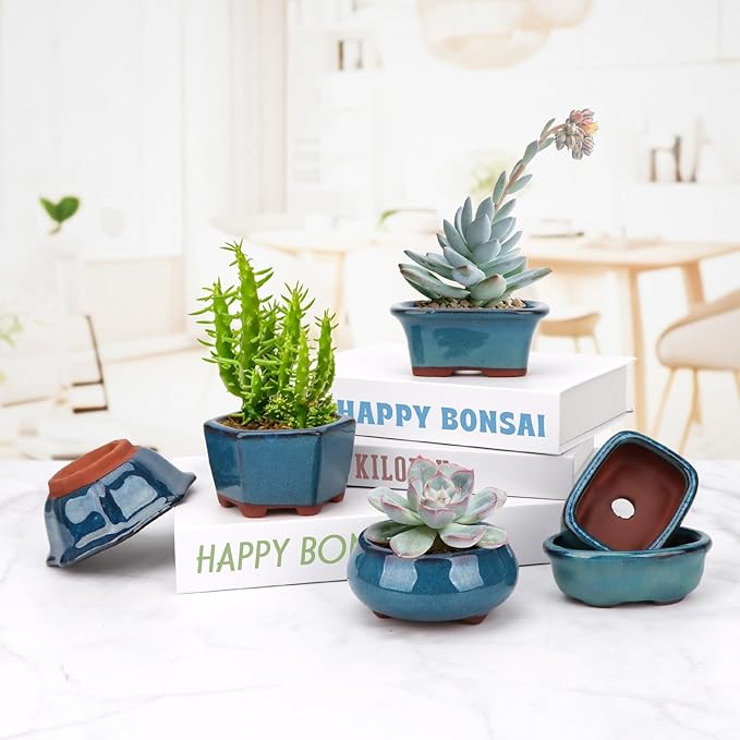 Bonsai Planter 6 pc Mini Glazed Succulent Pots Value Set + 6 Soft Mesh Drainage Screens