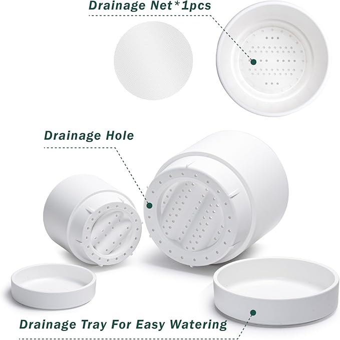 Phoenix Vine 6 Inch and 8 Inch Planter Pot with Drainage Hole & Deep Water Catch Tray Saucer, Straight Cylindrical Round Pot for Plants, Matte White, 23-A-1-Y