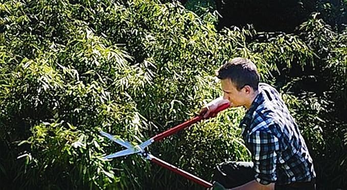 Berger vine leave shear 4440 with self-sharpening blades, hedge shear with damper, length 80 cm