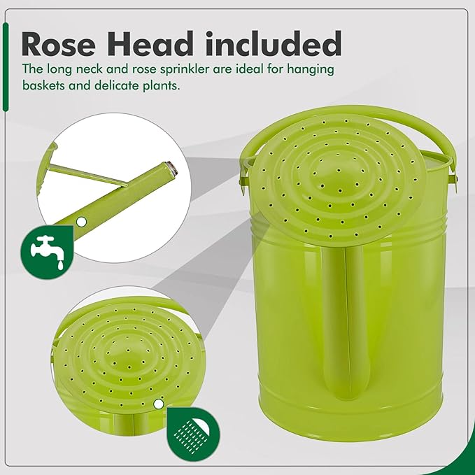 Galvanized Iron Watering Can for Indoor Plants, DIY Watering Cans for House Plant Garden Flower, Long Spout Water Can for Outdoor Watering Plants 7.57L 2 Gallon (Green)