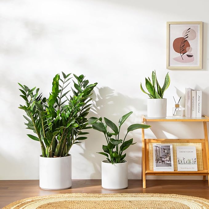 vancasso 6"+8"+10" Ceramic Pot for Plants, Large Outdoor Indoor Planter Pots with Drainage Holes, Set of 3, White