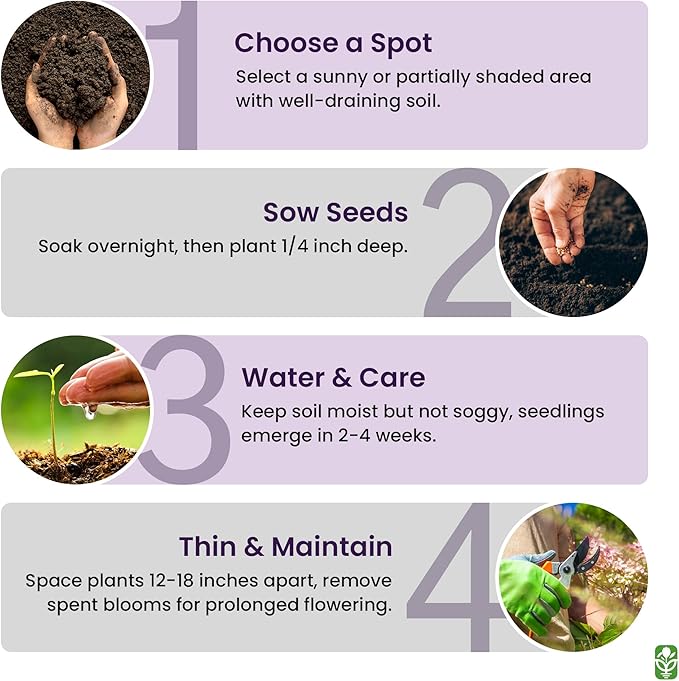 Russell Lupine Seeds Perennial - Grows 40" Tall - Perennial Wildflowers for Winter & Fall Planting - Grown in The USA - 100 Mixed Russell Lupine Seeds for Planting