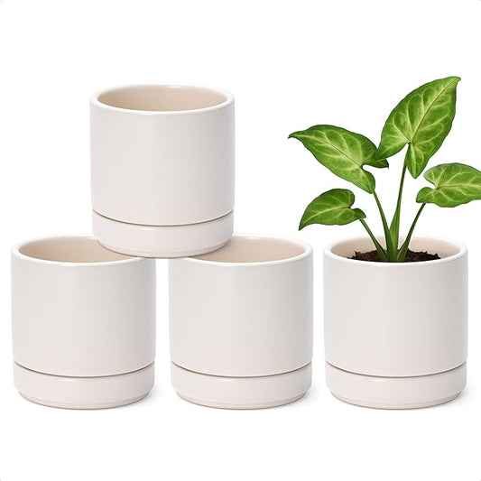 D'vine Dev Set of 4 Small Ceramic Plant Pots, 4.6 Inch Succulent Planter Pot for Plants with Drainage Hole and Saucer, Oatmeal, 94-X-B-8