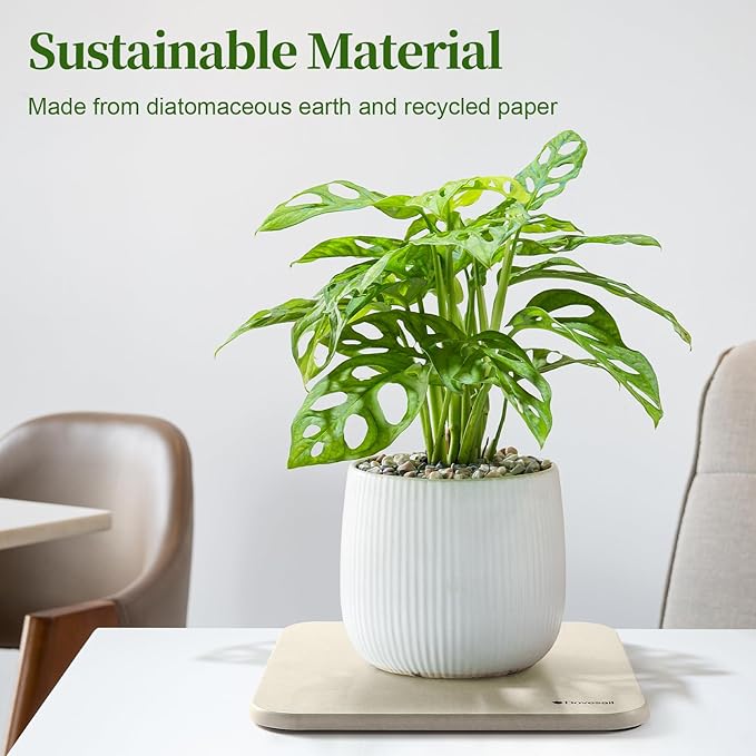 Plant Saucer, 8" Instantly Dry Diatomaceous Earth Stone Prevents Moisture Buildup, Flower Plant Tray Pot Saucer Keep Counter and Floors Dry and Clean (2 Pack) -Light Grey