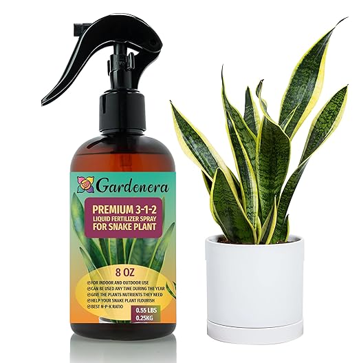 Proffesional Snake Plant Spray Fertilizer Mist for Home Gardening | 3-1-2 Gentle Blend Mist for Healthy Leaves & Growth | Essential Nutrients for Snake Plants - 8oz