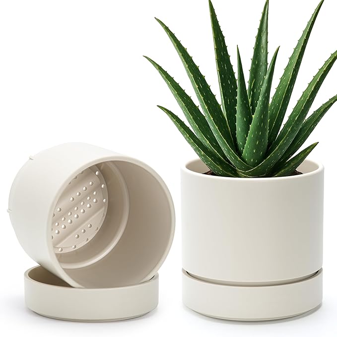 Phoenix Vine 6 Inch Planter Pot with Drainage Hole & Saucer, Deep Water Catch Tray, Straight Cylindrical Round Pot for Plants, Oatmeal, Pack of 2, 23-E-S-2