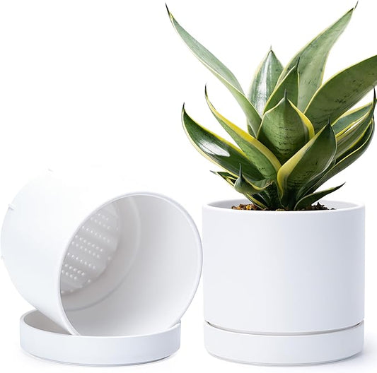 Phoenix Vine 8 Inch Planter Pot with Drainage Hole & Saucer, Deep Water Catch Tray, Straight Cylindrical Round Pot for Plants, Matte White, Pack of 2, 23-B-T-2