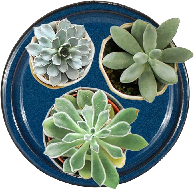 W&W Ceramic Plant Saucer - Plant Trays for Indoor Pots (Blue, 8 inches, 2 Packs)