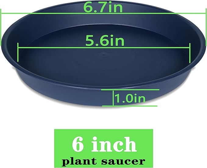 6 Pack Plant Saucer Drainage Tray, Plastic Plant Water Tray, 6 inch Flower Saucers for Indoors, Plant Dishes for Pots Base (6 inch, Blue)