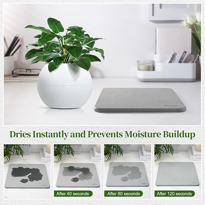 Plant Saucer, 8" Instantly Dry Diatomaceous Earth Stone Prevents Moisture Buildup, Flower Plant Tray Pot Saucer Keep Counter and Floors Dry and Clean (2 Pack)- Dark Gray