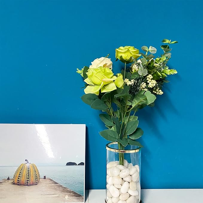 5lbs White Pebbles for Indoor Plants, 0.8-1.2 Inch Smooth White River Rocks for Potted Plants, Decorative Polished Stones for Landscaping Vase Fish Tank and Outdoor Garden Pavers