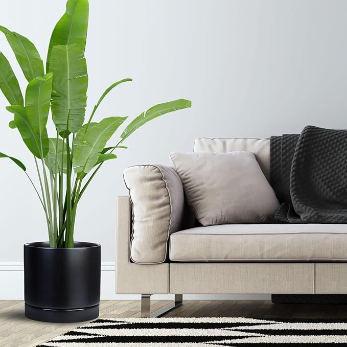 Ceramic Plant Saucer Black Deep Pot Tray - 1 Pack 15 inch, Planter Saucers Water Drip Trays for Indoors Outdoor, Thick Durable Sturdy Flower Pot Saucers for Glazing Pots Base(15"/13.5"-Size)