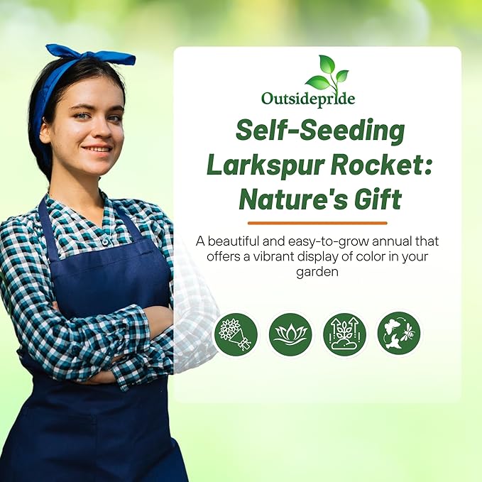 Outsidepride Mixed Rocket Larkspur Seeds for Planting Outdoors - 1000 Pcs Annual, Self-Seeding, Heat & Drought Tolerant Wildflower Seeds for Cut Flower Arrangements & Pollinator Gardens