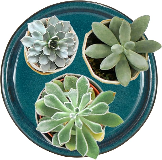 W&W Ceramic Plant Saucer - Plant Trays for Indoor Pots (Teal, 8 inches, 2 Packs)