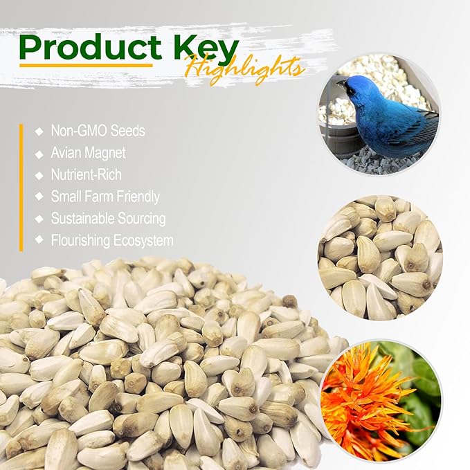 Old Potters Wildlife Safflower Seed for Wildlife Bird Feeding, Non-GMO and USA Small Farm Grown, 6 lbs