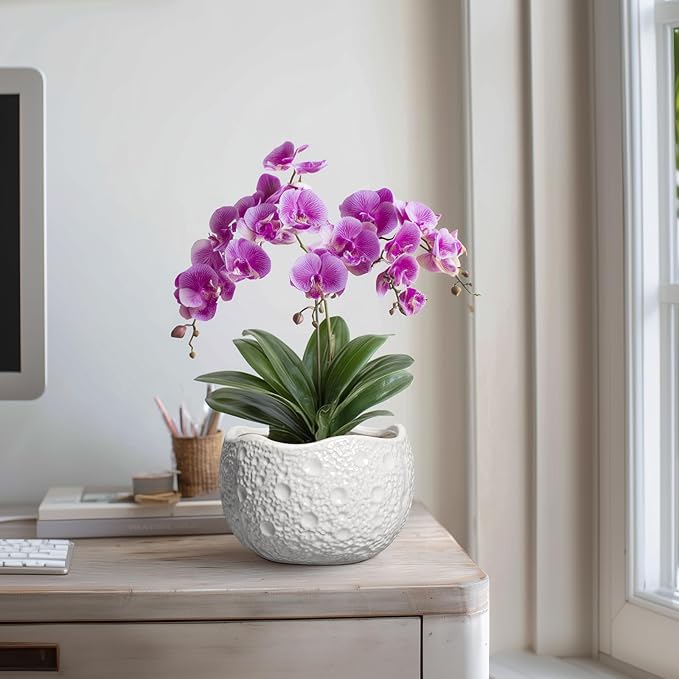 Ceramic Plant Pot - 8 Inch Round Planter with Drainage Hole, Decorative Plant Pots for Indoor Outdoor Plants, Modern Unique Flower Pots, House Living Room Decor, Housewarming Gifts, White