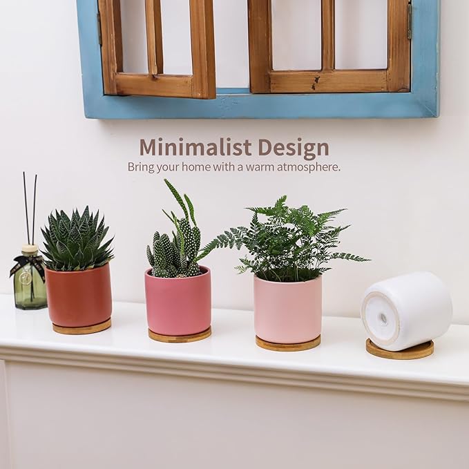 4 Inch Ceramic Plant Pots with Drainage Holes and Trays, Adorable Small Cylinder Flower Planter Pot with Saucers for Indoor Plants, Succulent, Snake Plants, Cactus & Herbs, Multicolor, Set of 4