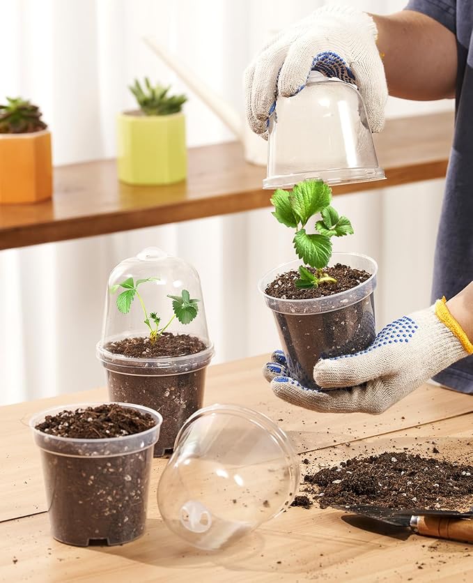 homenote Clear Nursery Pots for Plants,4 Inch Plant Pot for Planting with Humidity Domes Plastic Seedling with Drainage Holes Seed Starter Flower High Transparency (30 Pack)