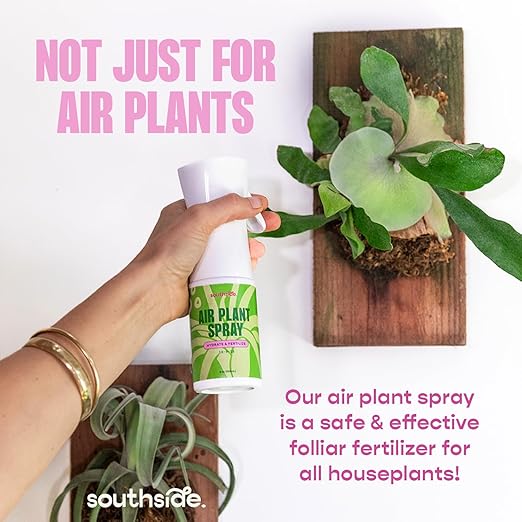 Air Plant Fertilizing Spray by Southside Plants - Fertilizer Mist for Houseplants, Weekly Plant Food - Gentle Mist Formula for Miracle Feed & Grow - 7.3 oz
