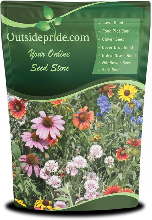 Outsidepride Northeast Wild Flower Seed Mix - 5 lbs Premium Blend of Vibrant Biennial & Annual Wildflower Seeds for Northeastern States, Ideal for Meadows, Borders & Gardens, & Attracting Pollinators