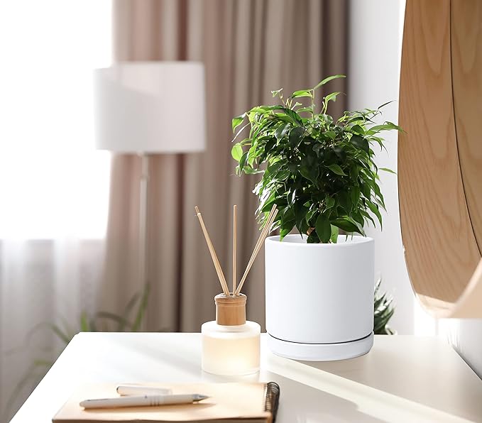 D'vine Dev 6 Inch Ceramic Planter Pot with Drainage Hole and Saucer, Indoor Cylinder Round Flower Pot, White, 94-O-C-1