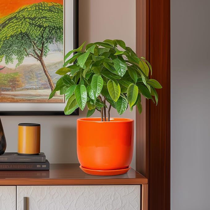 Ceramic Pot for Plants - 8 Inch Plant Pot with Drainage Hole and Saucer, Cylinder Modern Round Planter for Indoor Outdoor Plants, Housewarming Gifts, Office Home Garden Decor, Orange