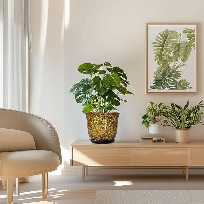 Ceramic Planter - 8 Inch Plant Pot for Indoor Outdoor, Round Flower Pots with Drainage Hole and Saucer, Modern Planter, Decorative Plant Pots, Home Office Decor, Gardening Gifts, Yellow