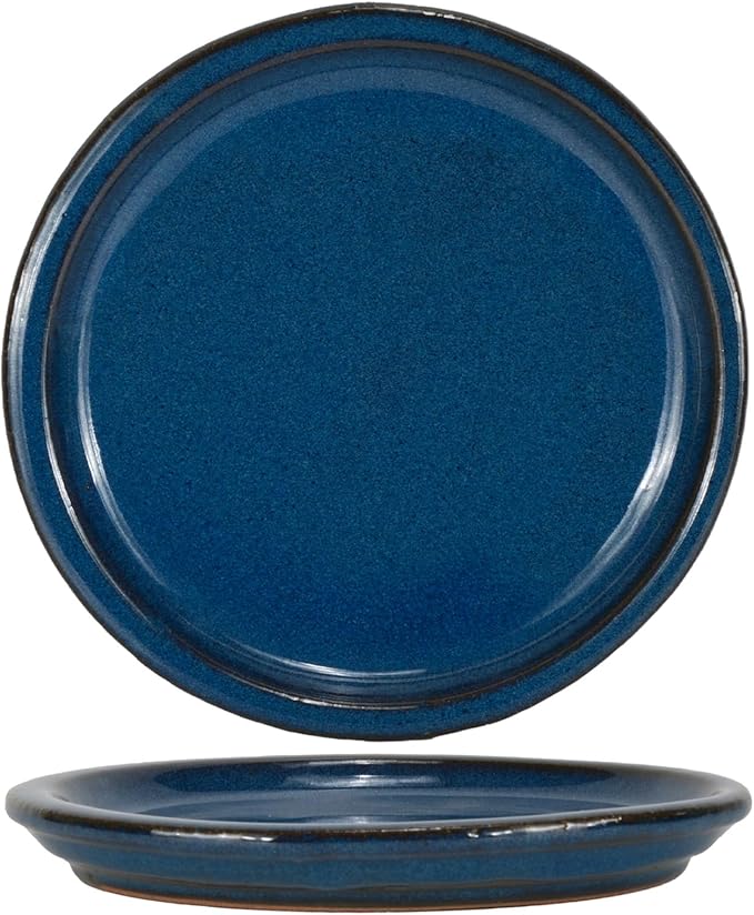 W&W Ceramic Plant Saucer - Plant Trays for Indoor Pots (Blue, 10 inches, 2 Packs)