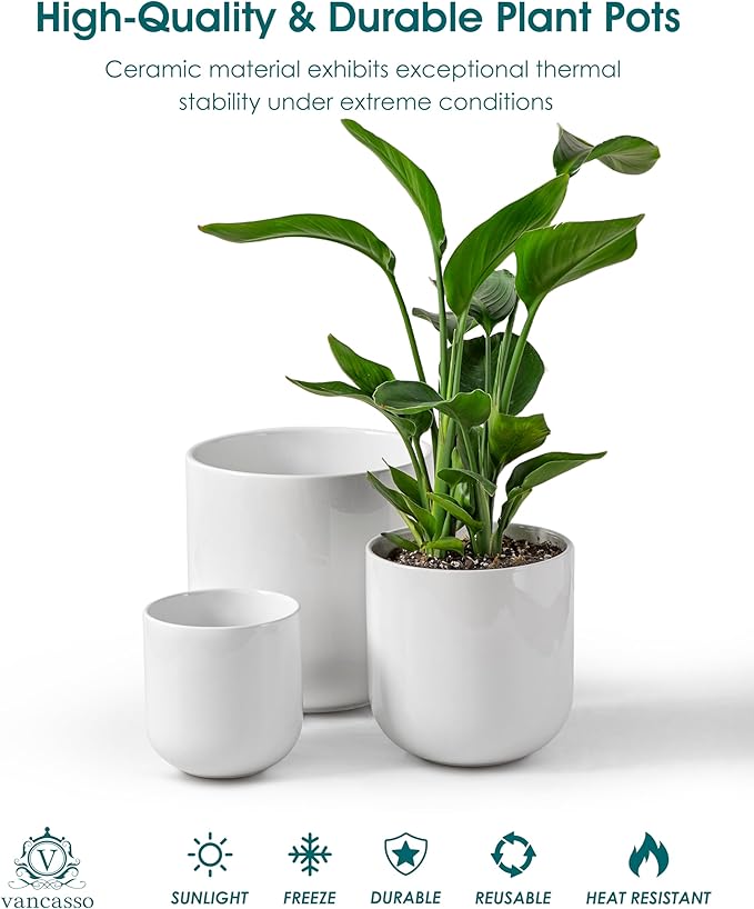 vancasso 6+8+10 inches Ceramic Plant Pots, Set of 3, Planters with Drainage Hole, Flower Pots Planters Pots for Indoor Plants, Modern Indoor Decorative Garden Pot, Home Decor, White