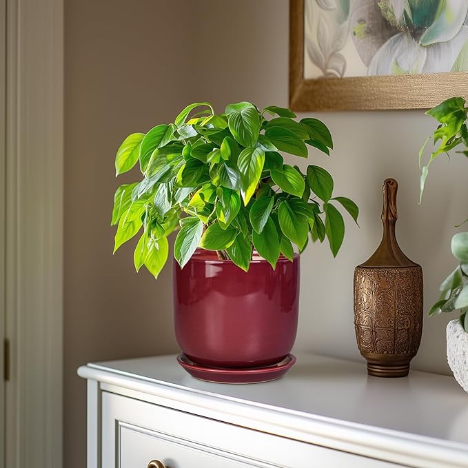 Ceramic Planter for Plants - Round Modern 7 Inch Plant Pot Indoor with Drainage Hole and Saucer, Home Patio Office Apartment Decor, Red