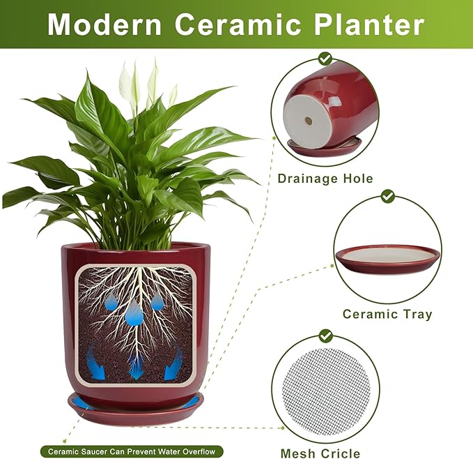 Ceramic Pot for Plants - 8 Inch Plant Pot Indoor with Drainage Hole and Saucer Cylinder Flower Pot for Indoor Outdoor Plants Home Patio Office Decor Red