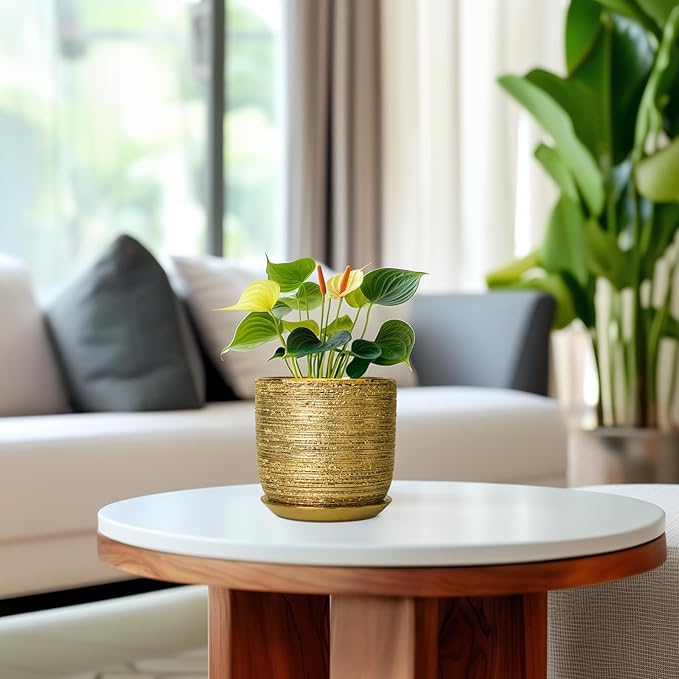 Succulent Pot 5 Inch - Ceramic Plant Pot for Indoor Flowers, Decorative Round Indoor Planter with Drainage Hole and Saucer, Plant Lover Gifts, Patio Office Home Room Decor, Gold