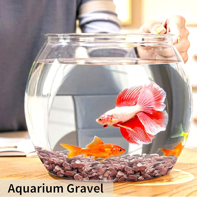 10 lbs Pebbles for Plants, 3/8 Inch Pea Gravel Stones Decorative Red River Rocks for Succulent, Cactus, Landscaping, Vases, Terrarium, Aquarium, Potted Top Dressing and Outdoor Garden