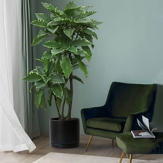 Ceramic Plant Saucer Black Deep Pot Tray - 1 Pack 15 inch, Planter Saucers Water Drip Trays for Indoors Outdoor, Thick Durable Sturdy Flower Pot Saucers for Glazing Pots Base(15"/13.5"-Size)