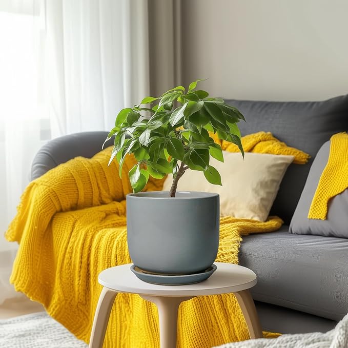 Ceramic Planter for Indoor Outdoor Plants - Cylinder Decorative 8 Inch Plant Pot with Drainage Hole and Saucer, Modern Home Decor, Gray