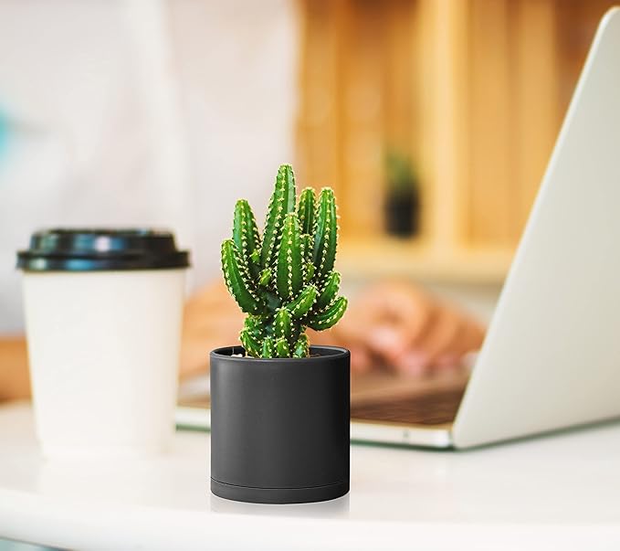 D'vine Dev 12 Pack 3 Inch Mini Plastic Plant Pots, Small Garden Planters for Plant with Drainage Holes and Saucers, Black Color, 74-Y-C-4