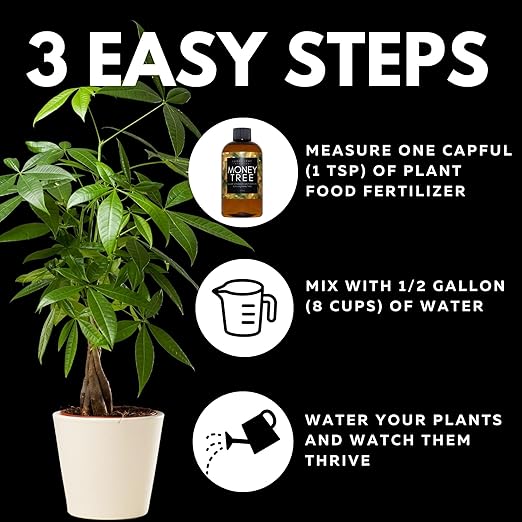Lush Leaf | Plant Food (Money Tree)