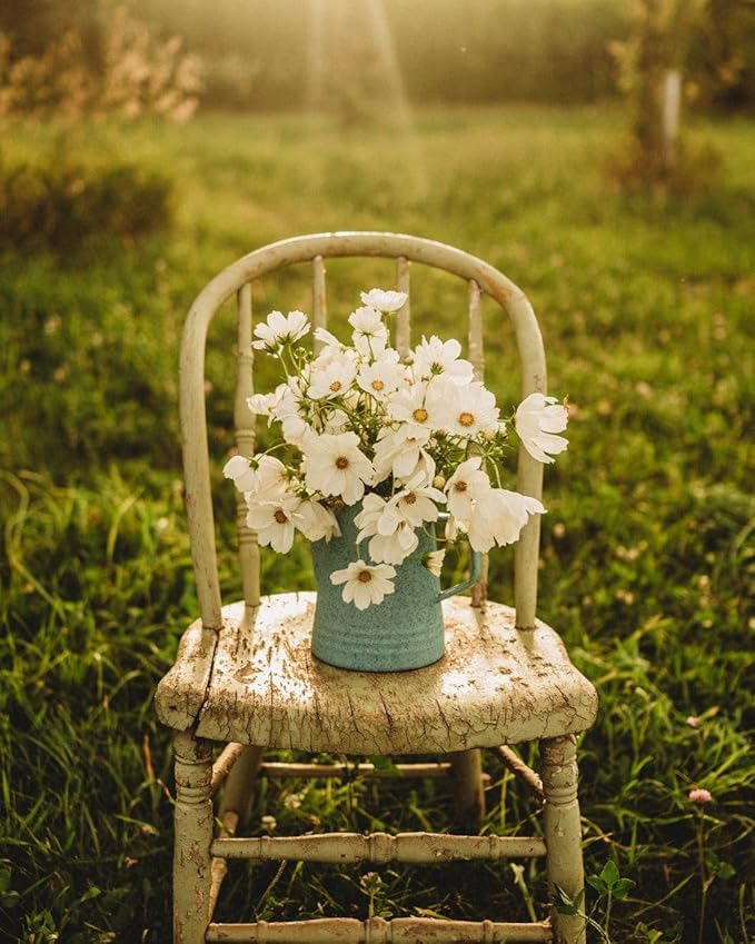 Purity Cosmos - 250 Seeds - Beautiful White Flowers, Attracts Butterflies & Pollinators, Great for Bouquets, Non-GMO Heirloom Cosmos Seeds for Planting in The Home Garden, Thresh Seed Company