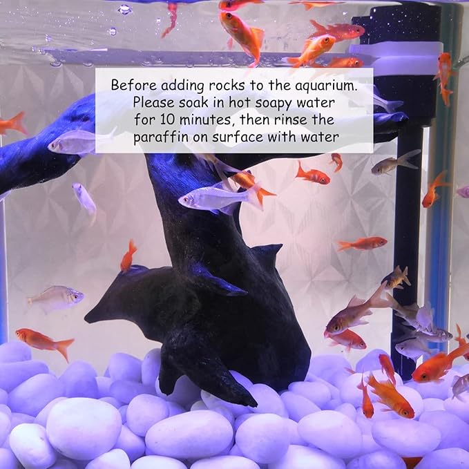 5 lbs White River Rocks, Polished Pebbles for Indoor Plants, 1-2 inch Decorative White Stones for Plants Vase Aquarium Fish Tank and Outdoor Garden Landscaping Rocks