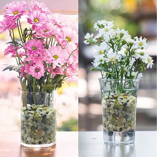 10LB Succulent and Cactus Jade Pebbles, 3/8 Inch Natural Decorative Polished Stones, River Rocks for Indoor Plants, Vases, Planters and Outdoor Gardening