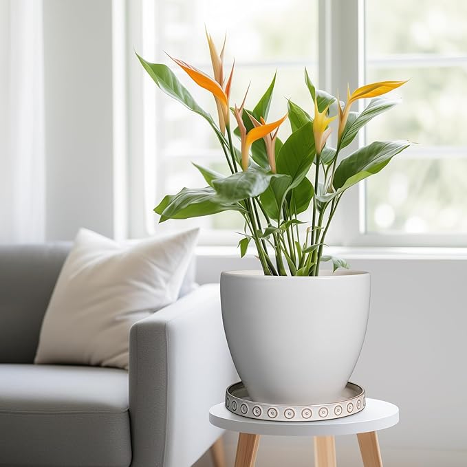 Plant Drip Tray - Ceramic Plant Saucer for Outdoors 9.3 Inch Plant Tray for Indoors No Holes Plant Pot Saucer Plant Dishes to Catch Water Round Plant Drainage Trays White