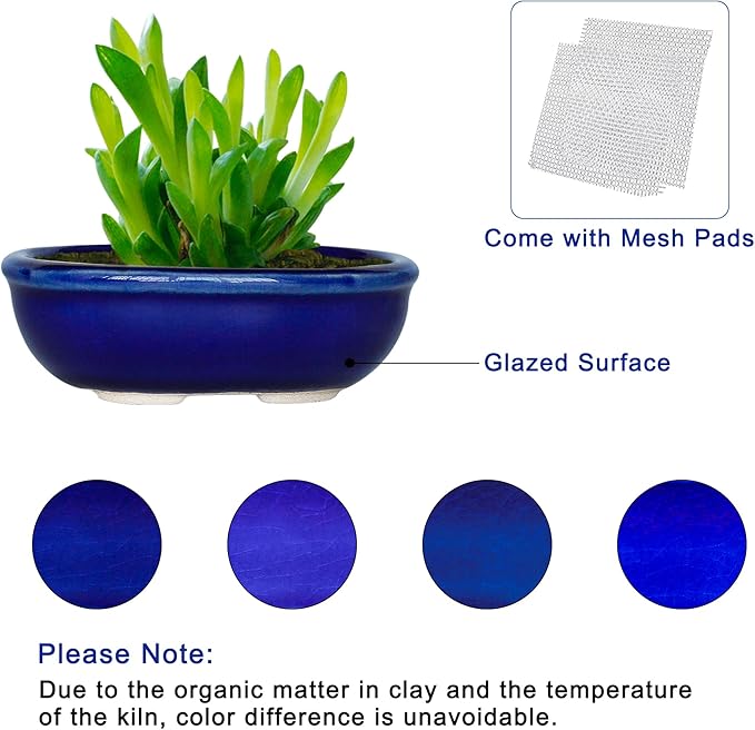 Bonsai Planter Succulent Mini Glazed Pots Value Set of 4, with 4 Soft Mesh Drainage Screens