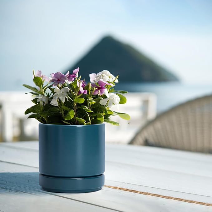 D'vine Dev Set of 2 Plants Pots, 4.7 Inch Ceramic Planter Pot for Plants with Drainage Hole and Saucer, Teal, 94-V-B-9