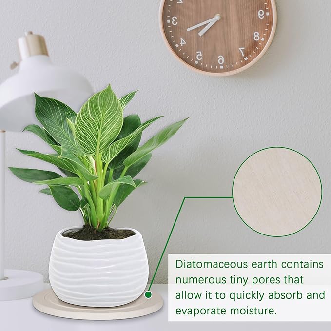 Plant Saucer Flower Pot Saucers Plant Trays for Pots Instant Dry Diatomaceous Earth Round Plant Drip Trays for Indoors Keeping Counter and Floors Dry and Clean (2Pcs White Large)